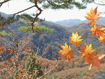 大侠魂花间浪子，江湖情怀与英雄传奇的深探