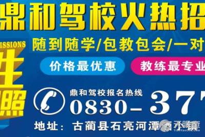 安溪最新司机招聘信息详解