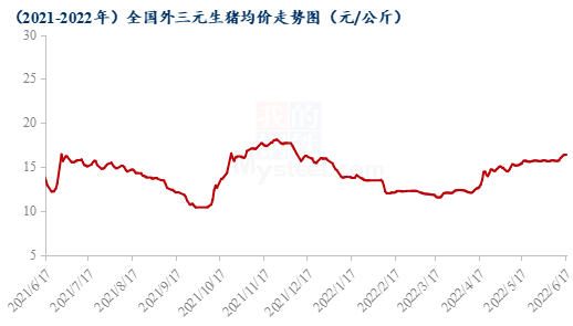 全国毛猪走势最新分析报告