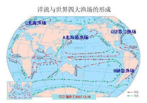 寒流博客最新文章概览，深度解析热门话题