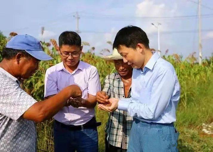 最强农民李有钱，田野上的奋斗与荣耀