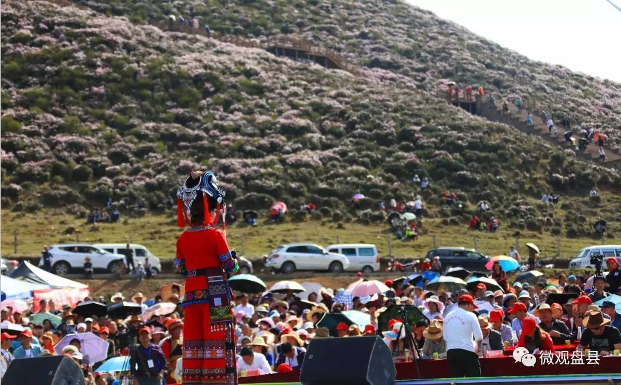 纳雍马摆山歌，传承演绎的旋律之美