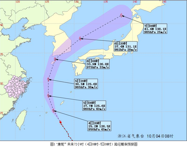 浙台风最新动态，影响分析与发展评估报告