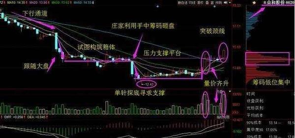 002577最新消息全面解读