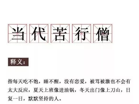 最新网络热句揭秘，观察与解读网络流行文化的新动态