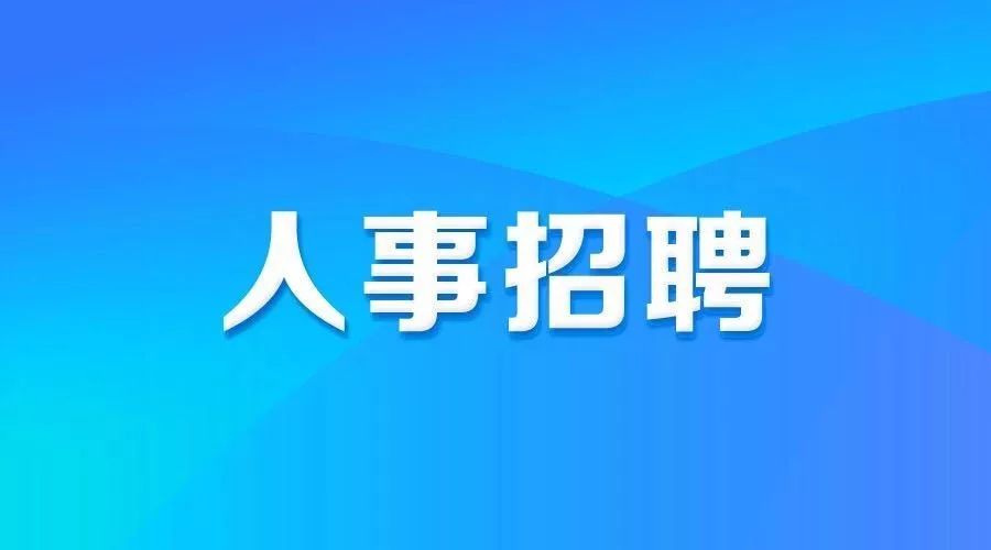 巴州最新招聘动态与职业机会深度探讨