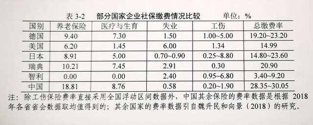 最新社保费率调整及其对社会与经济的影响分析