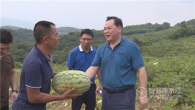 冷水江市未来城市新面貌规划揭晓