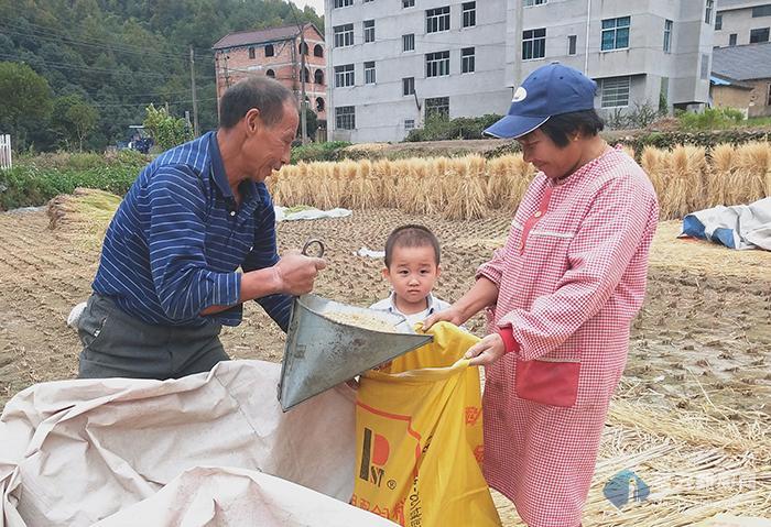 缙云新区规划图揭晓，塑造未来城市的宏伟蓝图