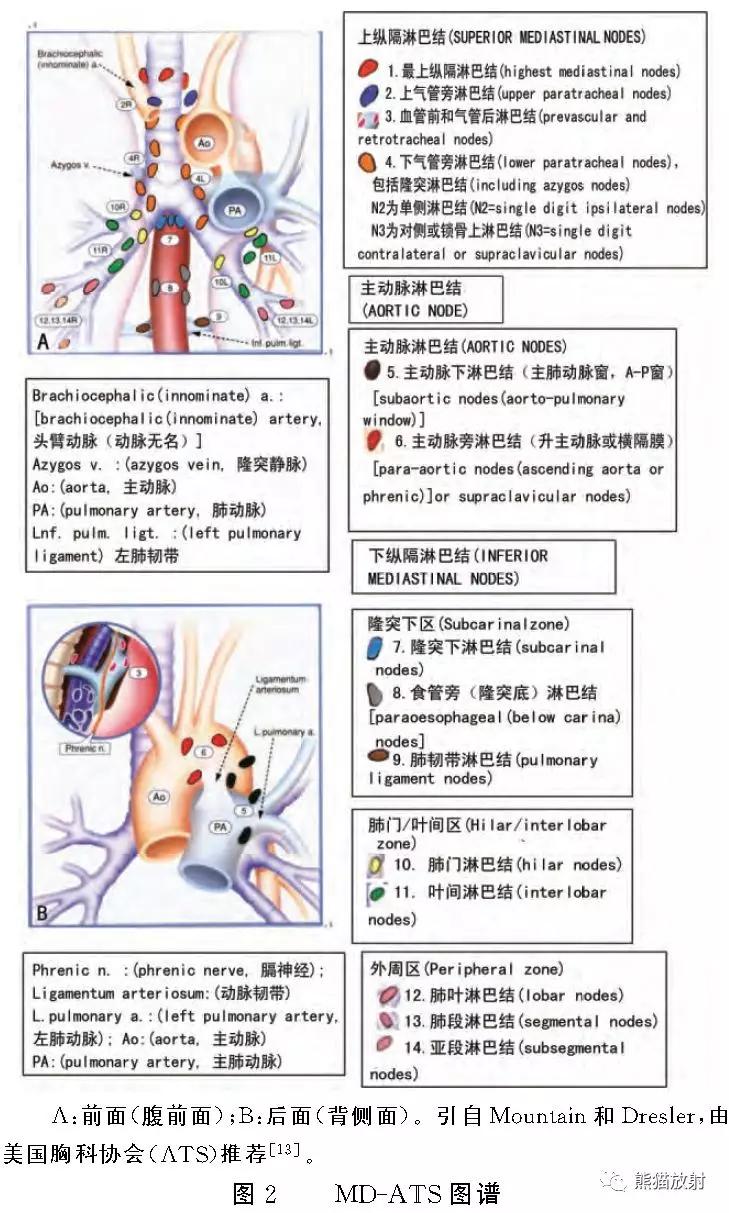 最新TNM分期标准在肿瘤诊疗中的应用及意义解析