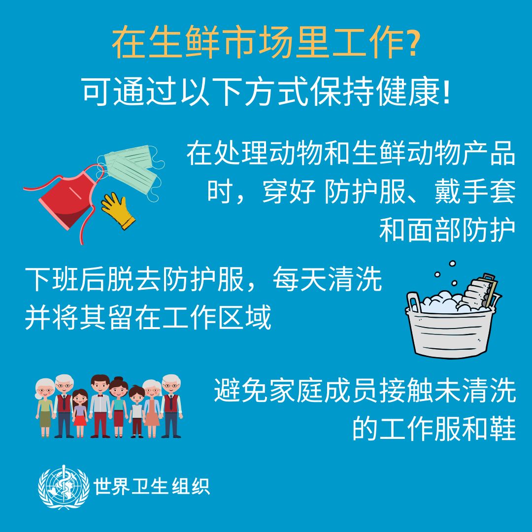 枣阳市文化局及关联单位招聘全面解析