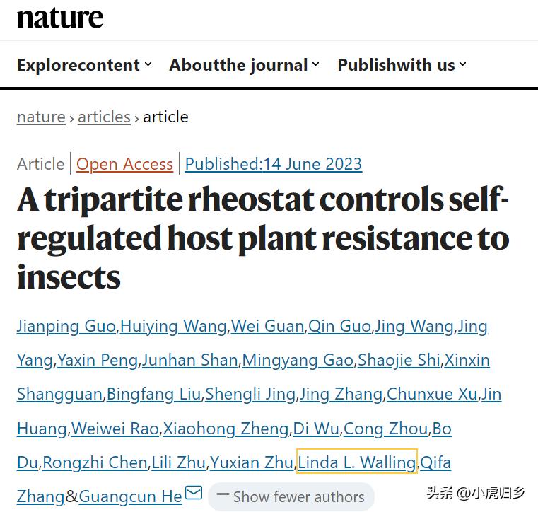 最新Host技术趋势及应用的深度探讨