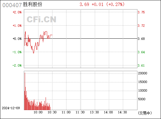 胜利股份最新动态全面解读