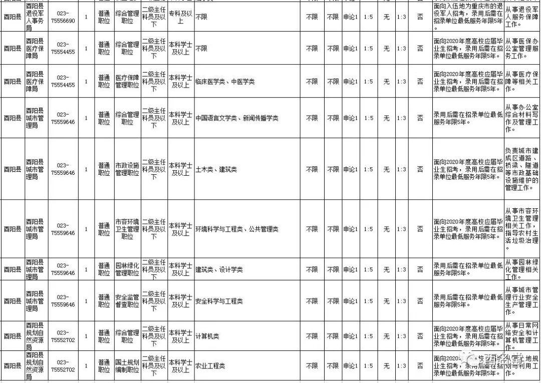 酉阳在线最新招聘信息全面解析