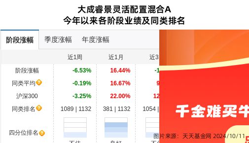 大成睿景最新净值动态解析及前景展望