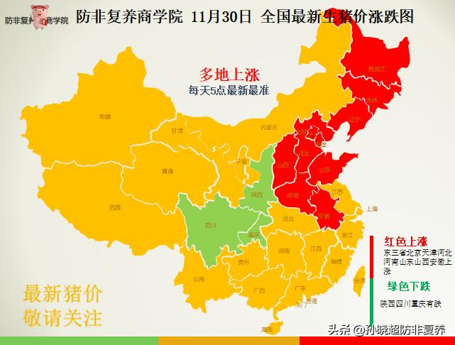 2024年12月13日 第2页