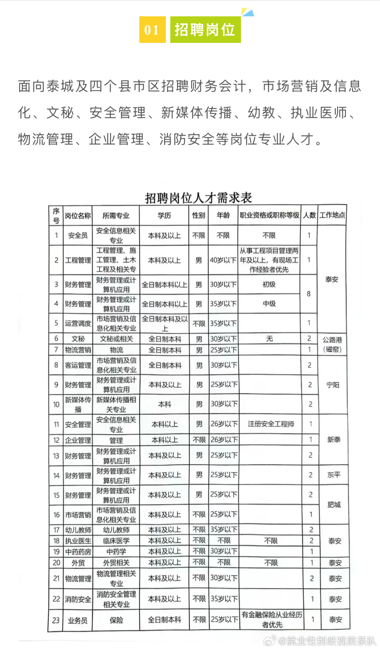 濮阳市旅游局最新招聘概览