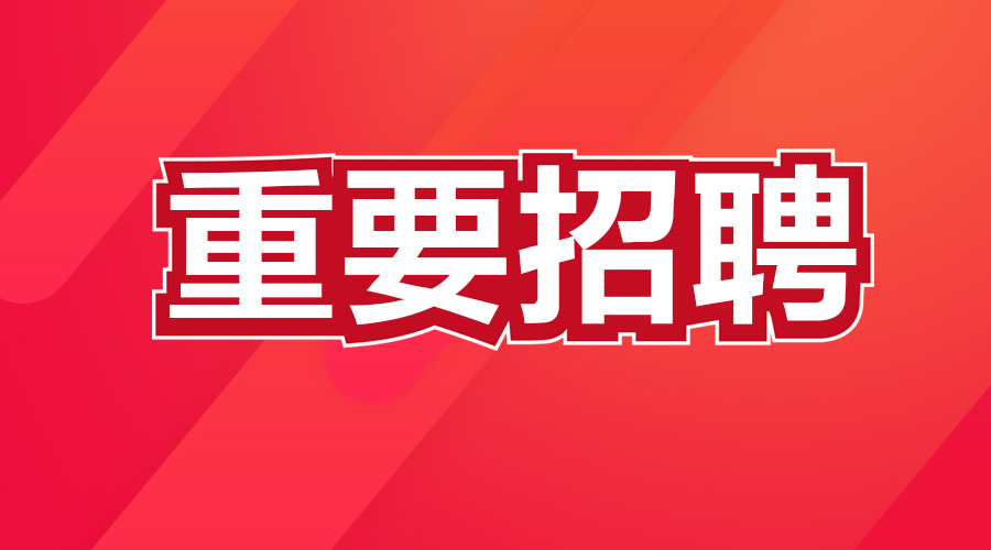 百善街道最新招聘信息全面解析