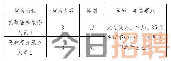 上蔡县统计局最新招聘公告全面解析