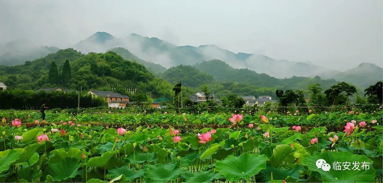 昌化镇最新发展规划，打造现代化繁荣宜居城镇