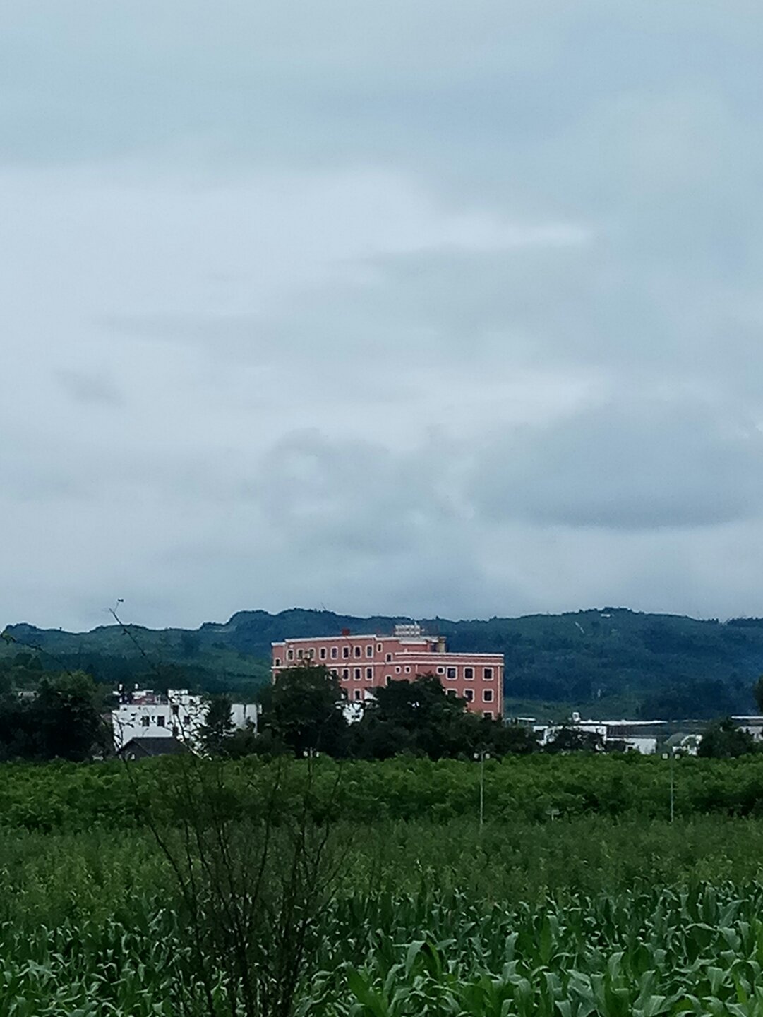 芒场镇最新天气预报